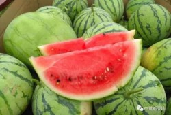 今日吃瓜51cg,揭秘娱乐圈最新热点事件